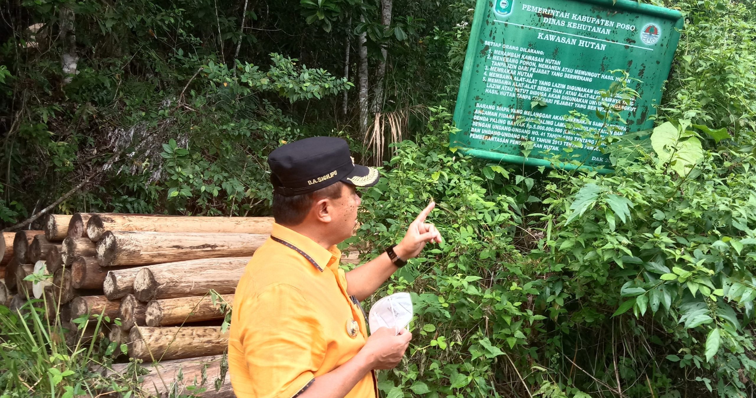 Marak Illegal Logging, Bupati Poso Minta Menteri Kehutanan Kembalikan Fungsi Dinas