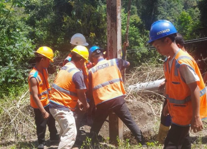 Banyak pohon tumbang PLN