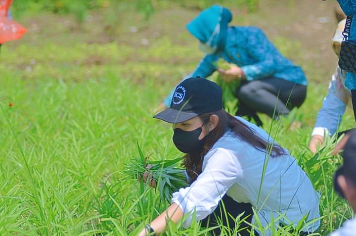 Ketua PKK Morut Panen Sayur dan Lepas Bibit Ikan di Desa Ganda-gandaΒ