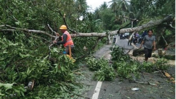 PLN Poso Pasokan listrik 