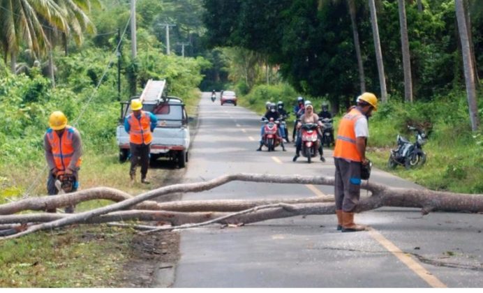 Terjadi Pemadaman Listrik, PLN Poso Cepat Mengatasi Gangguan