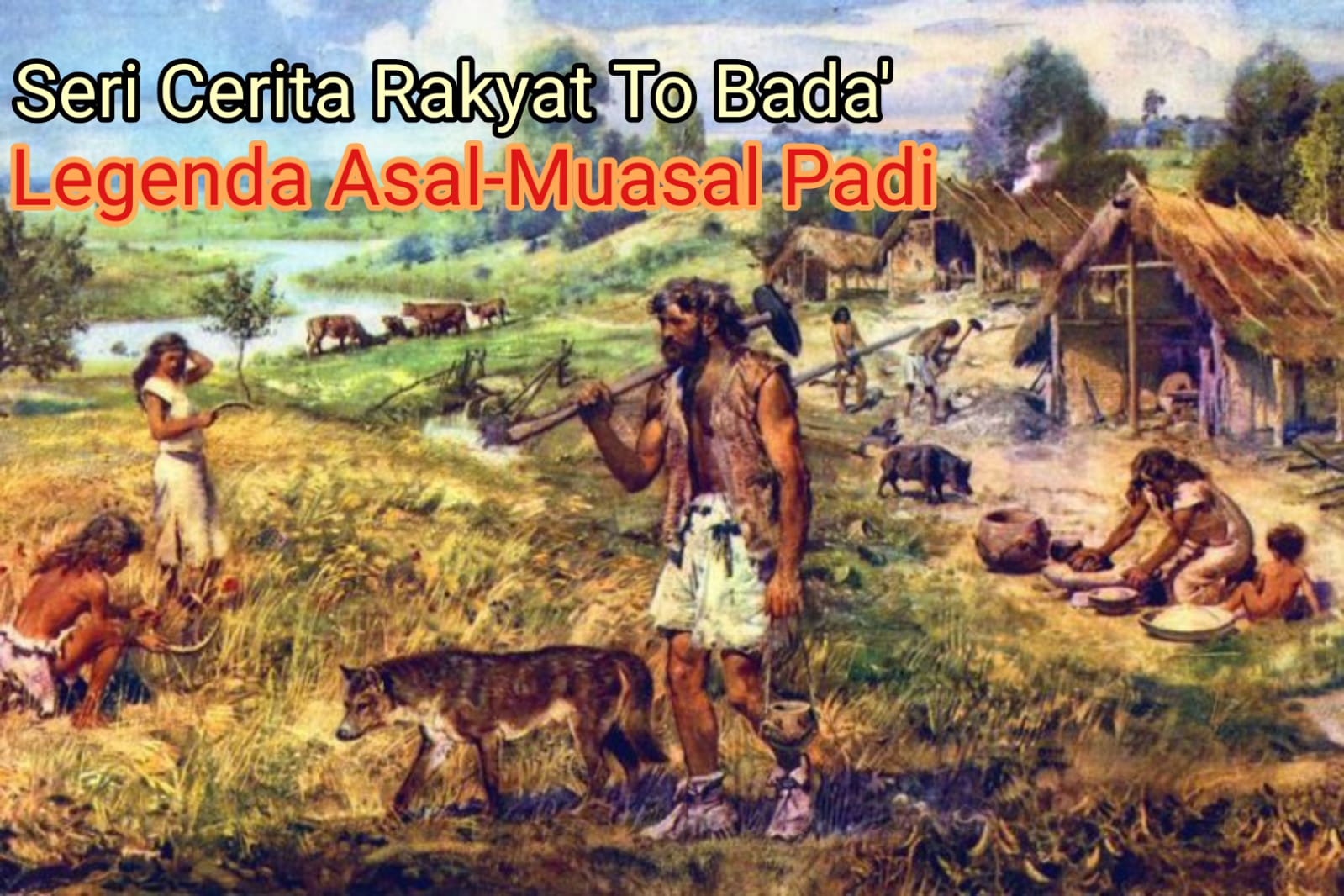 MITOLOGI CERITA RAKYAT TO BADA Part.1 “Legenda Asal-Muasal Padi dan Perjumpaan Kakau Dengan Buriro”