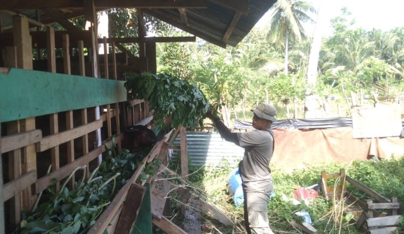Dukung Program Pemerintah, Satgas Madago Raya Perkuat Ketahanan Pangan di Wilayah Operasi