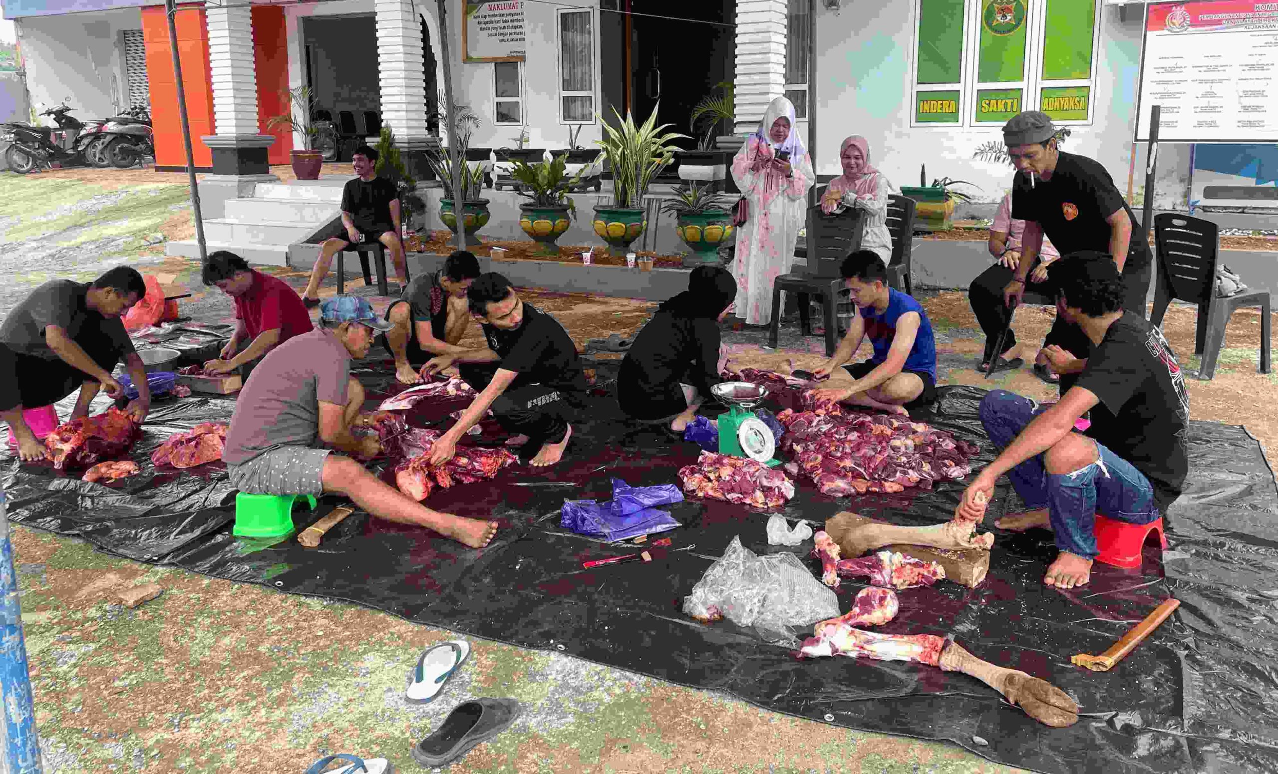 Kejari Morut Peringati Idul Adha, Sembelih Hewan Kurban