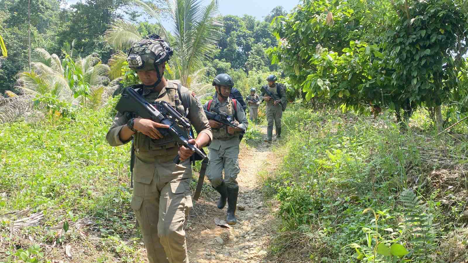 Tim Alfa 1 Brimob Intensif Patroli di Hutan Pegunungan Poso