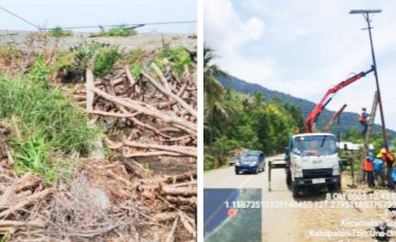 Cuaca Ekstrem di Poso, Touna, Morut Sebabkan Pohon Tumbang, Longsor dan Terganggunya Pasokan Listrik