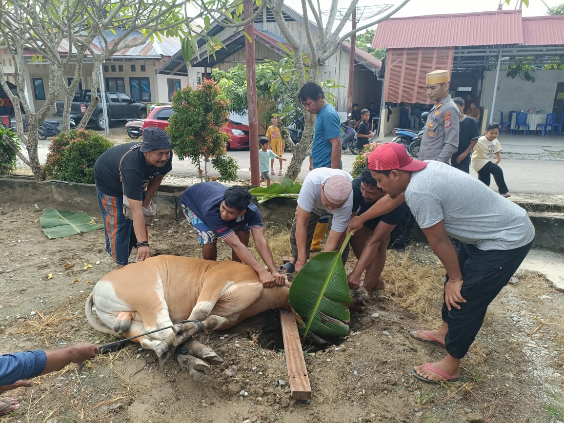 Momentum Iduladha 1447 H, Polres Poso Bagikan Daging Kurban