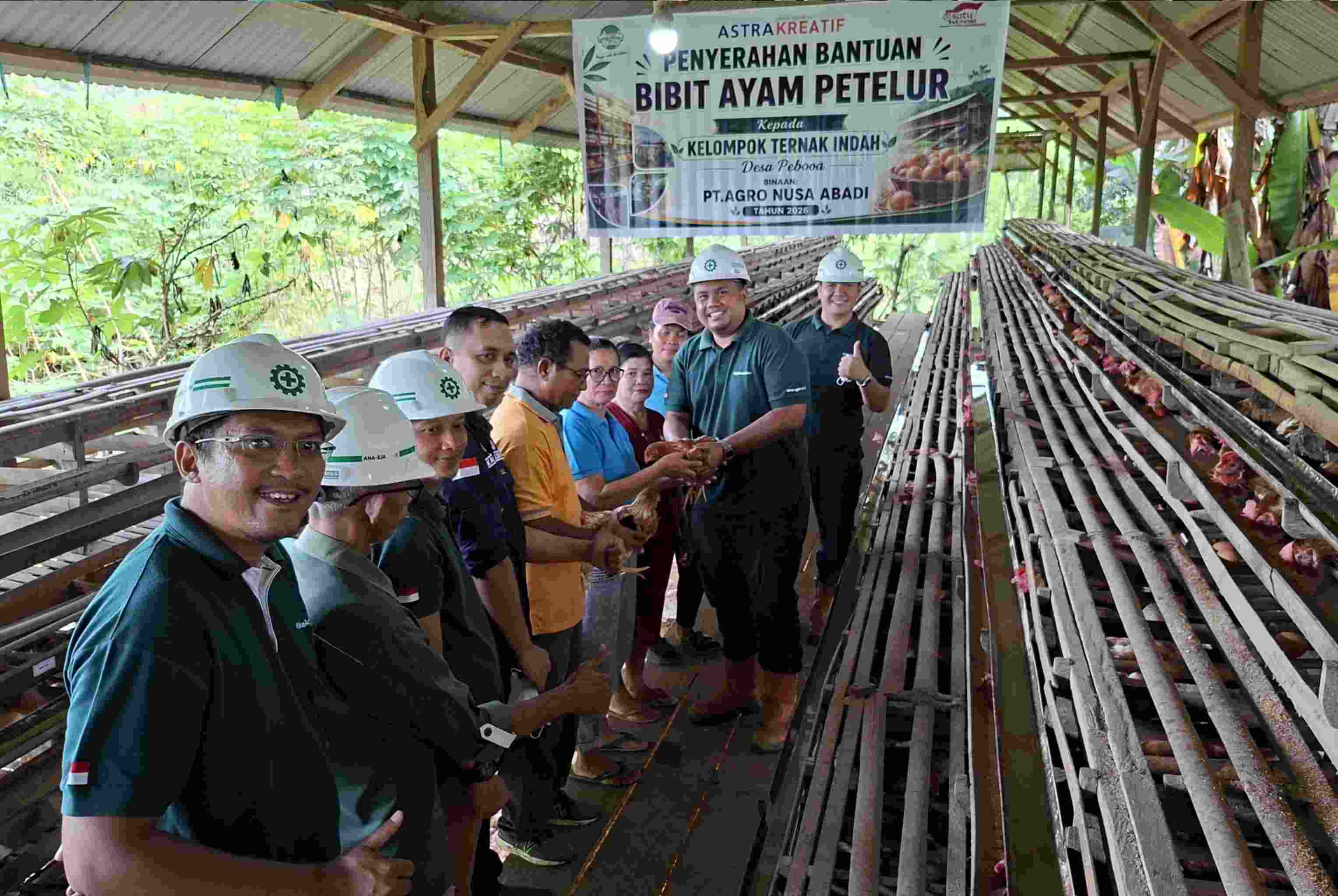 PT ANA Salurkan Bantuan Bibit Ayam Petelur dan Pakan untuk Kelompok Ternak di Desa Pebooa