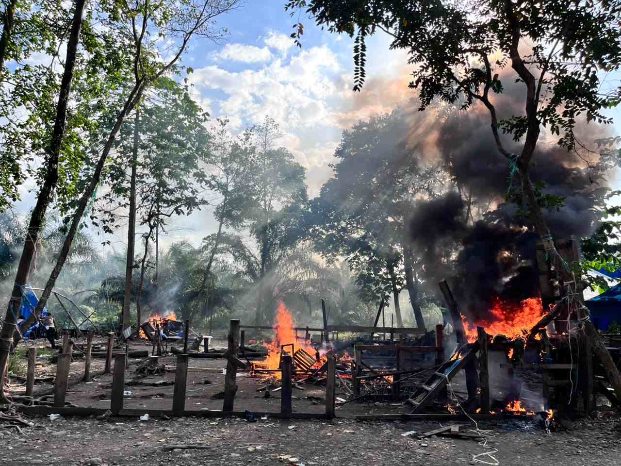 Penggerebekan 3 Arena Judi Sabung Ayam di Bahodopi, Pelaku Kabur