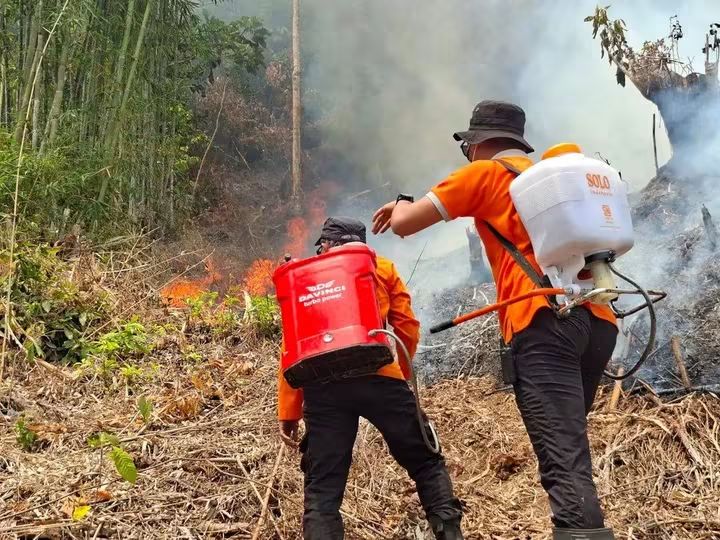 Poso Dikepung Puluhan Lokasi Karhutla, di 10 Kecamatan