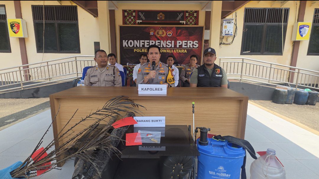 Sekitar 15 Hektare Lahan Terbakar, Warga Morowali Utara Ditetapkan Tersangka Karhutla